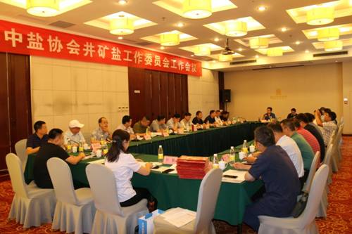 中鹽協(xié)會(huì)井礦鹽工作委員會(huì)工作會(huì)議在泰安召開